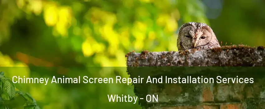  Chimney Animal Screen Repair And Installation Services Whitby - ON