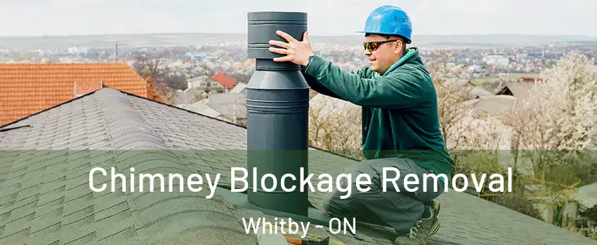  Chimney Blockage Removal Whitby - ON