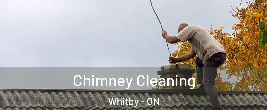  Chimney Cleaning Whitby - ON