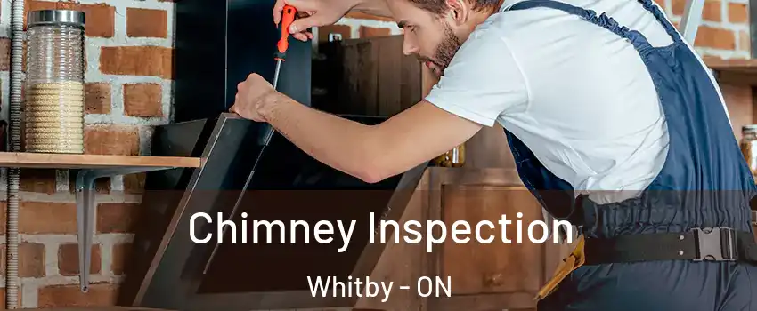  Chimney Inspection Whitby - ON