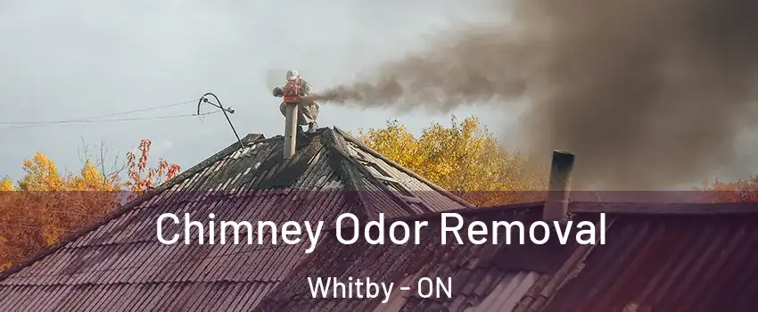  Chimney Odor Removal Whitby - ON