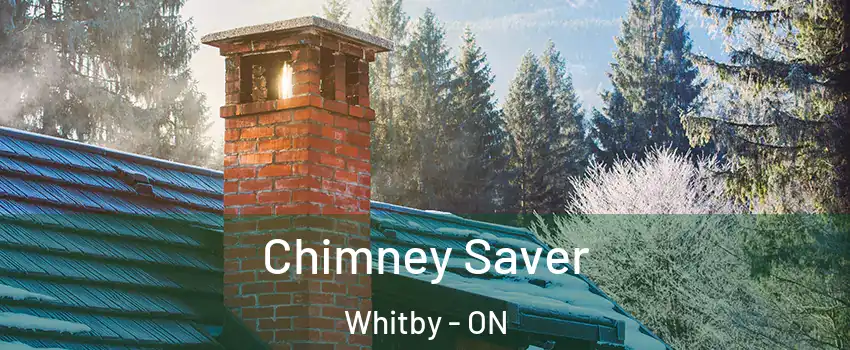  Chimney Saver Whitby - ON