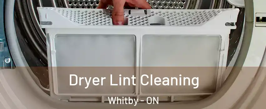  Dryer Lint Cleaning Whitby - ON