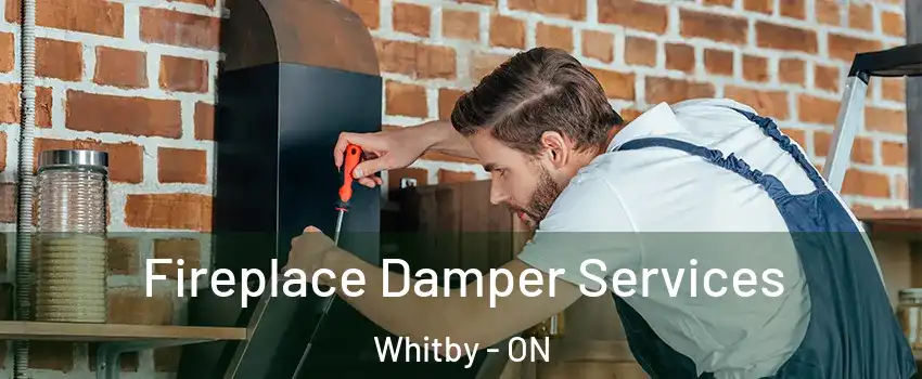  Fireplace Damper Services Whitby - ON