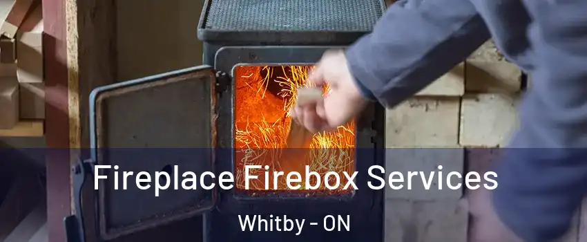  Fireplace Firebox Services Whitby - ON