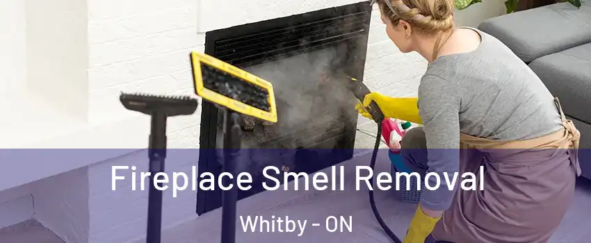  Fireplace Smell Removal Whitby - ON
