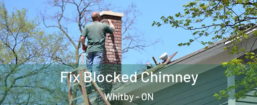  Fix Blocked Chimney Whitby - ON