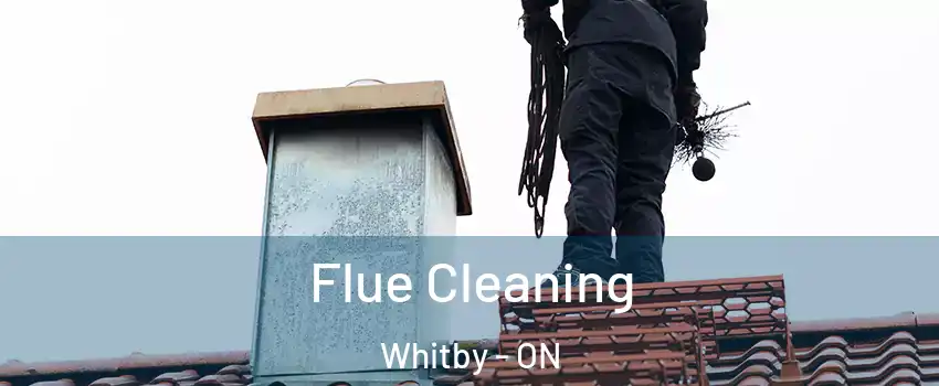  Flue Cleaning Whitby - ON