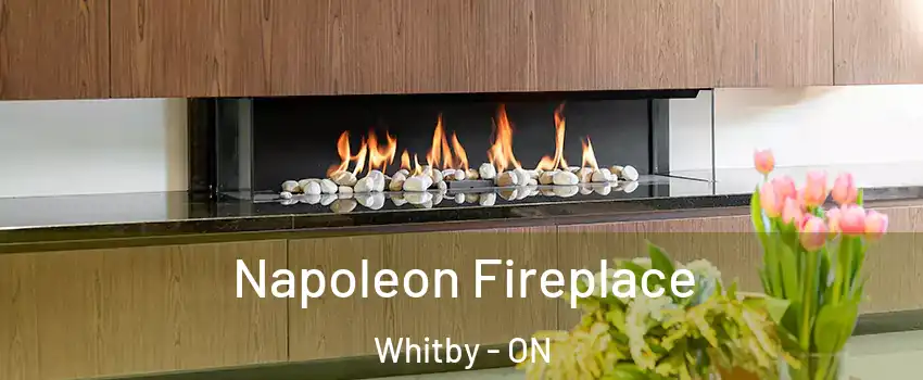  Napoleon Fireplace Whitby - ON